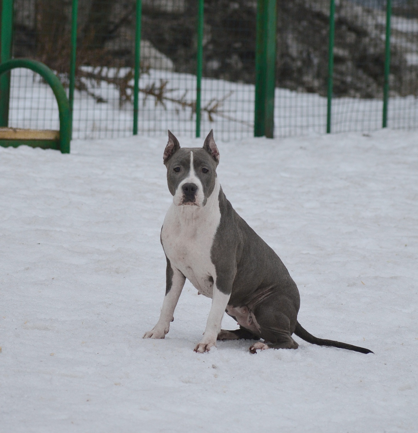 DIKIY SOBLAZN INNAMORE&nbsp;