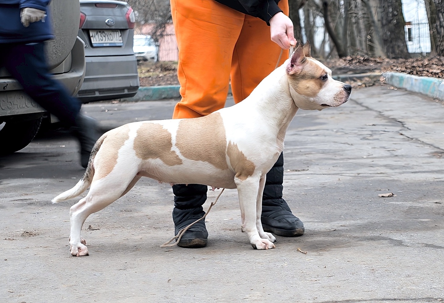 DIKIY SOBLAZN OREO&nbsp;